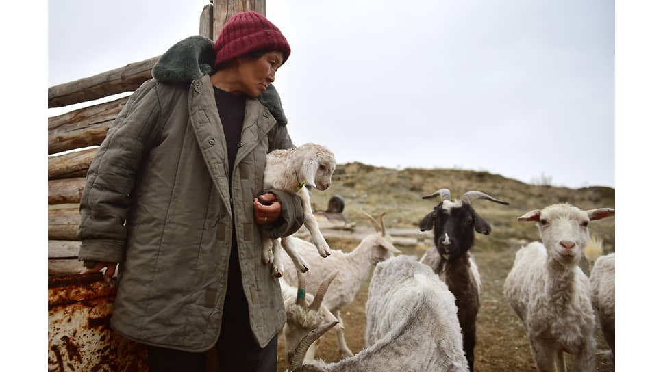 Фото: Влад Некрасов / Коммерсантъ