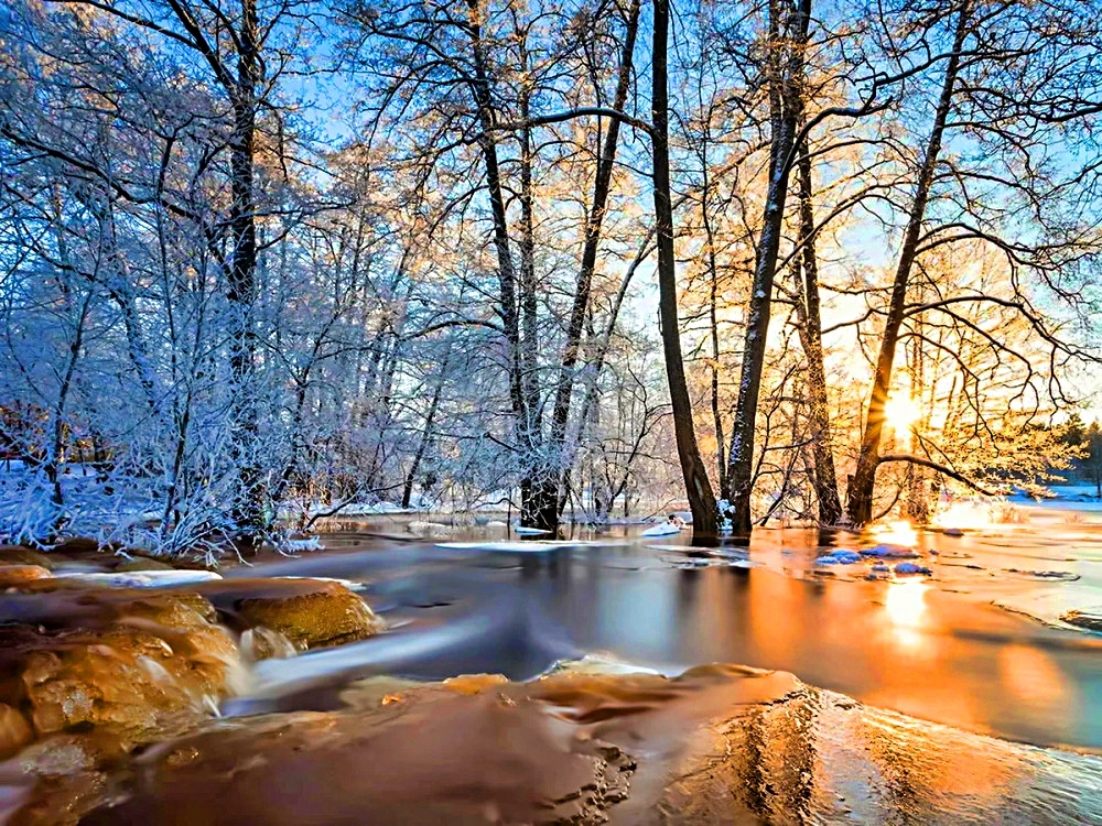 Фото взято из интернета.