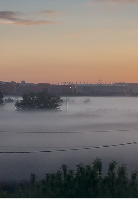 Все было покрыто белым одеялом.