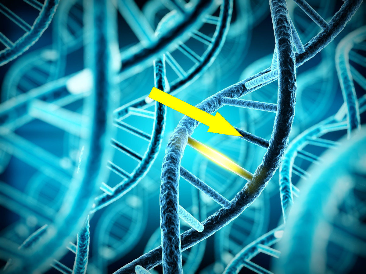    Китайские ученые создали первых генетически модифицированных детей с иммунитетом к радиации