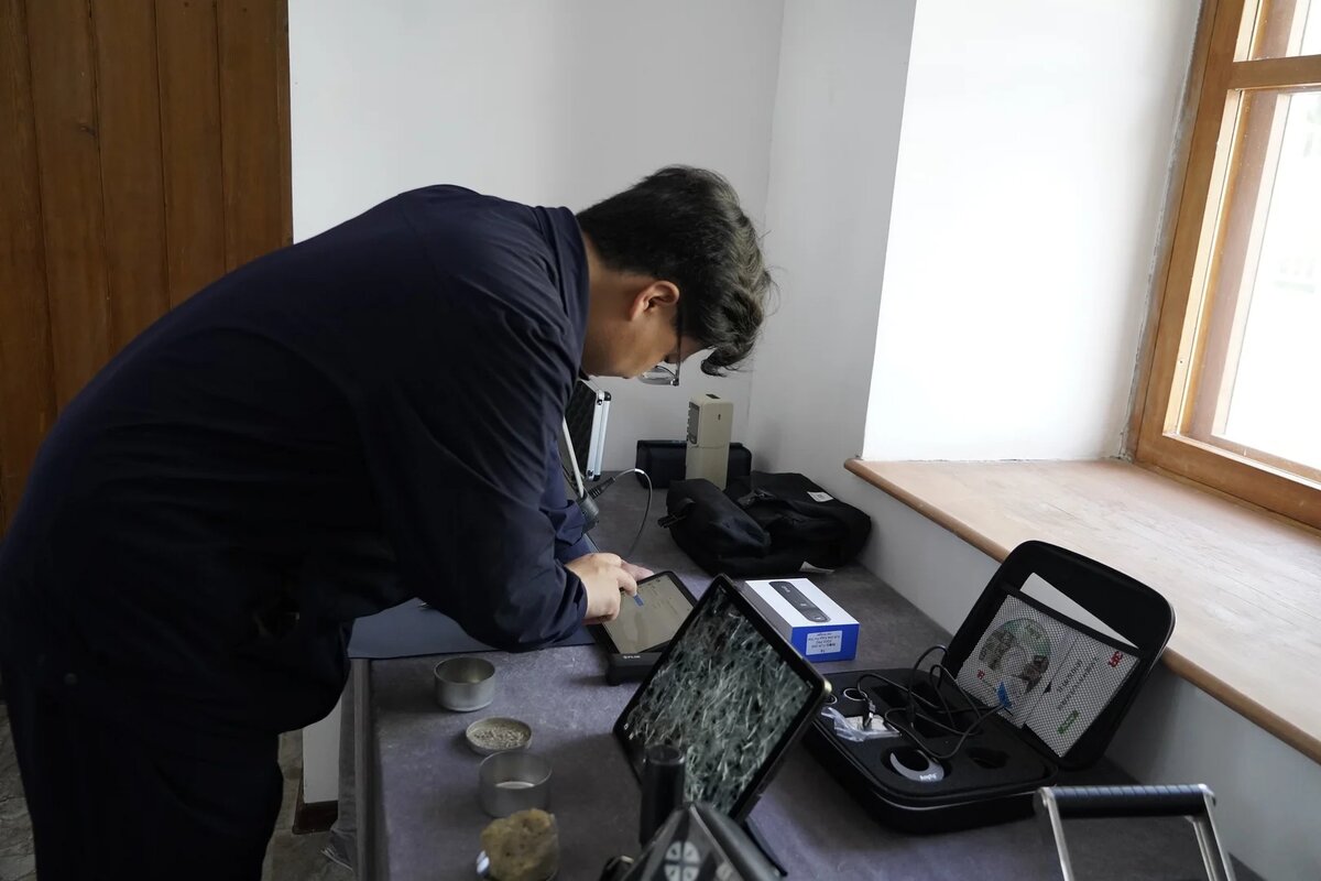 Листайте вправо, чтобы увидеть больше изображений