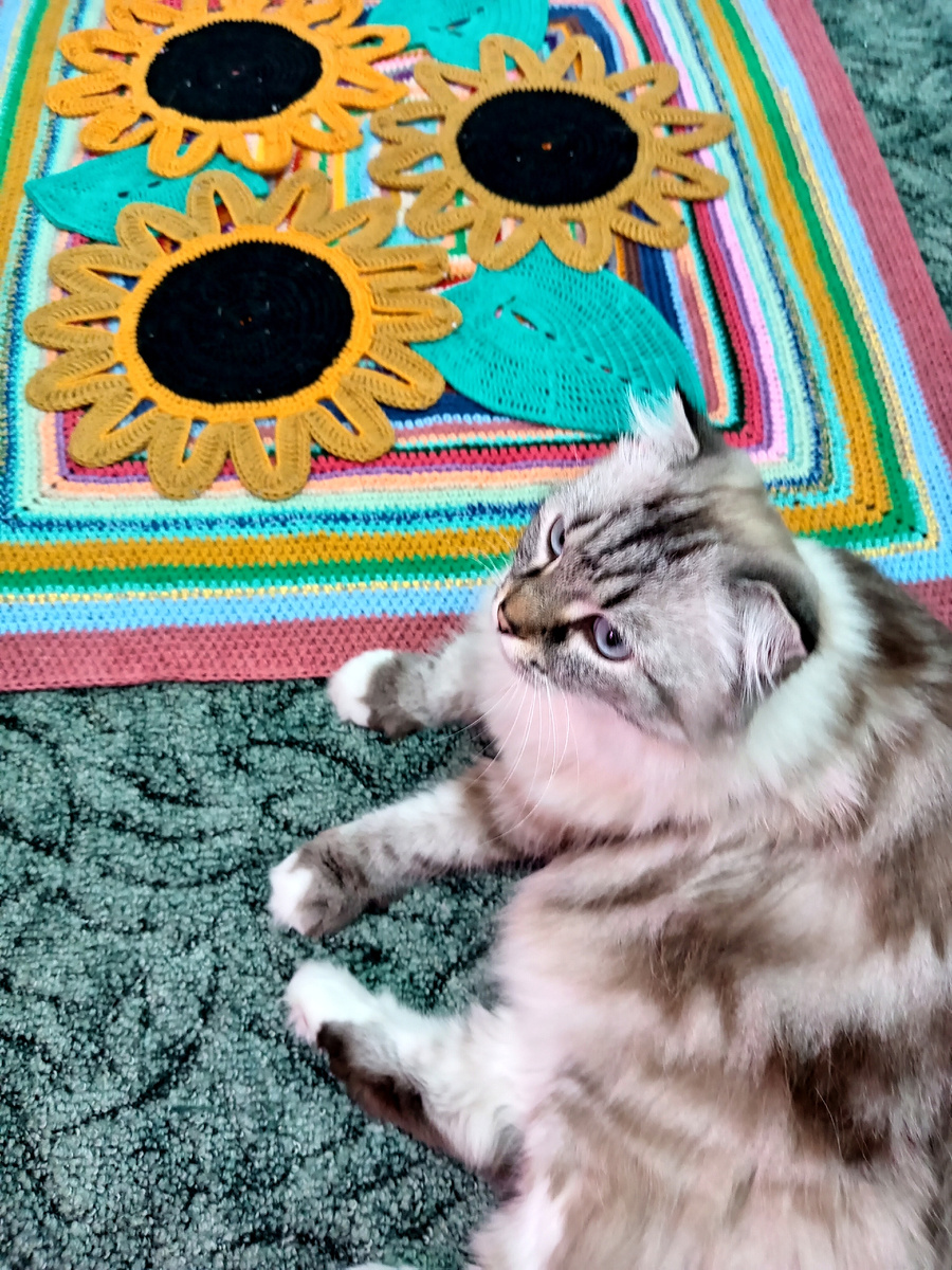 Фото автора. Красотка работу приняла. 