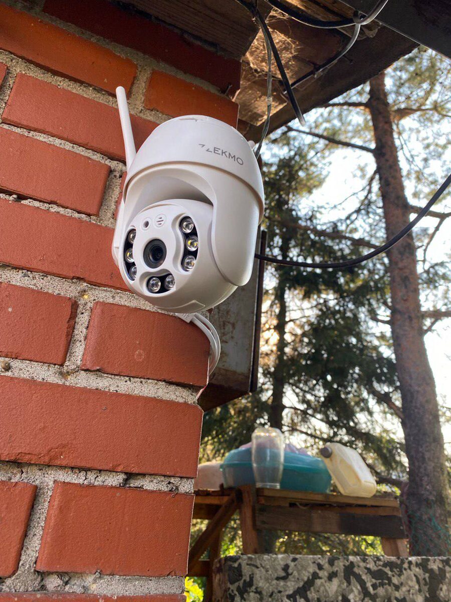 АРТ на WB 199536746 