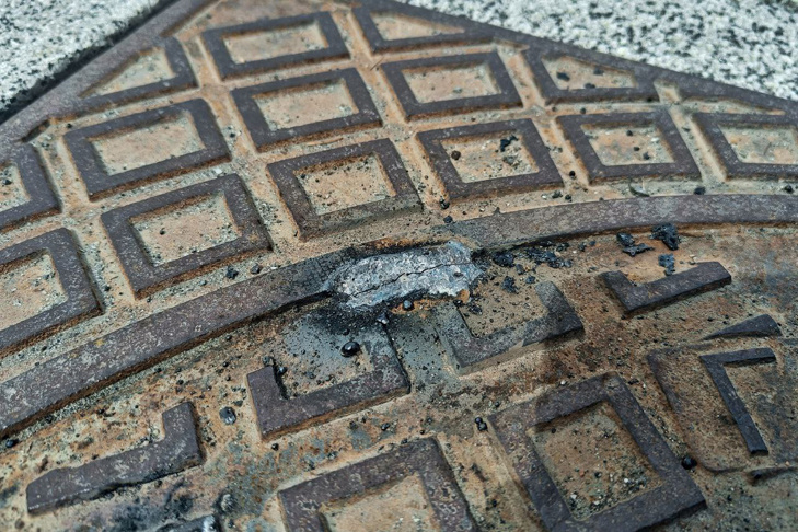    Фото Андрея Заржецкого и мэрии Новосибирска