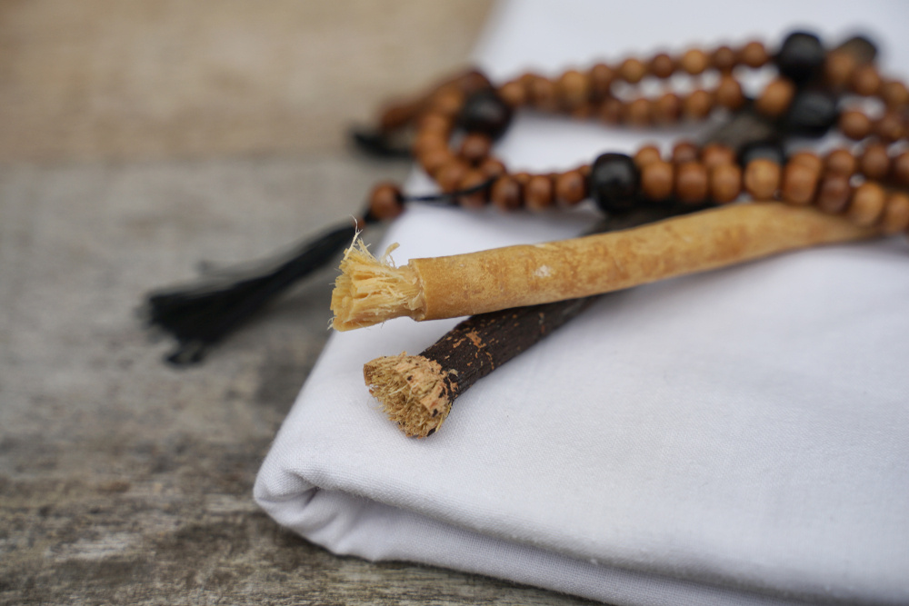     Фото: imrankadir/Shutterstock/FOTODOM Многие арабские народы делали такие палочки из корней кустарника сальвадора персидская. Считалось, что его аромат освежает рот лучше других растений