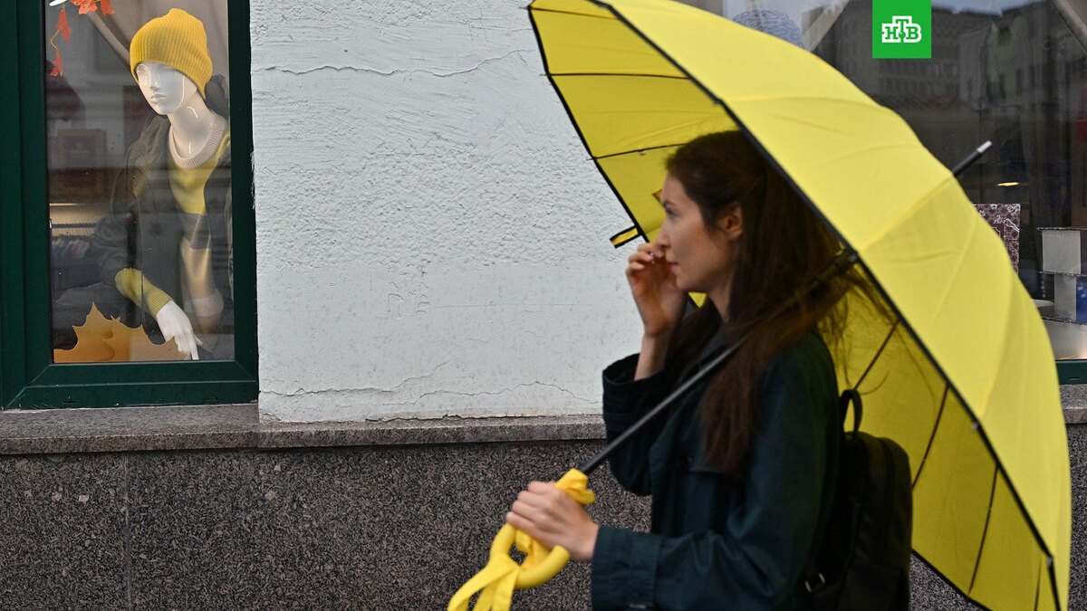    Фото: РИА Новости © 2025, Пелагия Тихонова