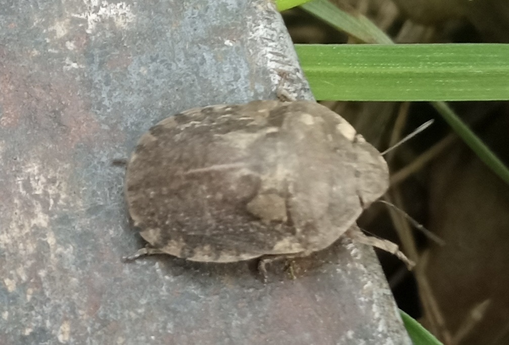    Фото: пресс-центр ФГБУ Россельхозцентр по Ростовской области Редактор