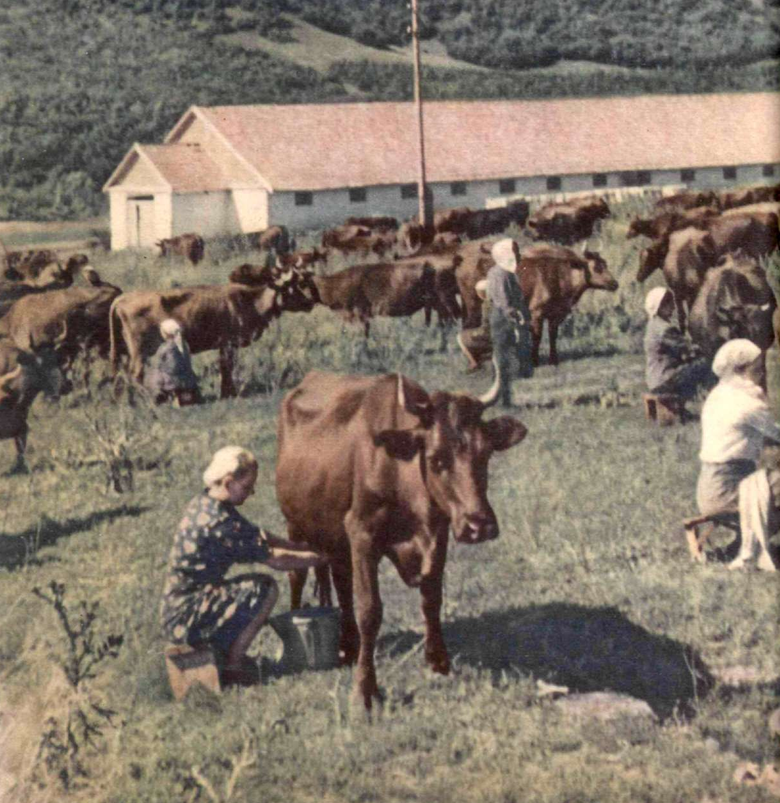 автор фото Леонид Раскин