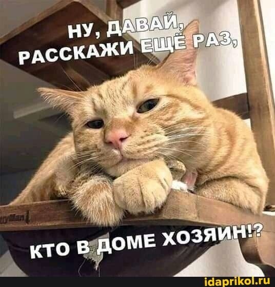 Наверное всё -таки я! 