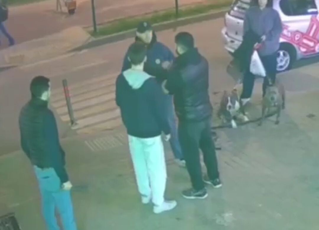 Фото: стоп-кадр из видео