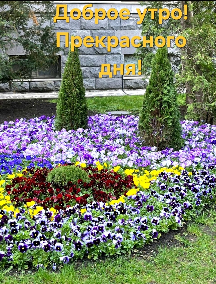 Ставрополь  цветущий