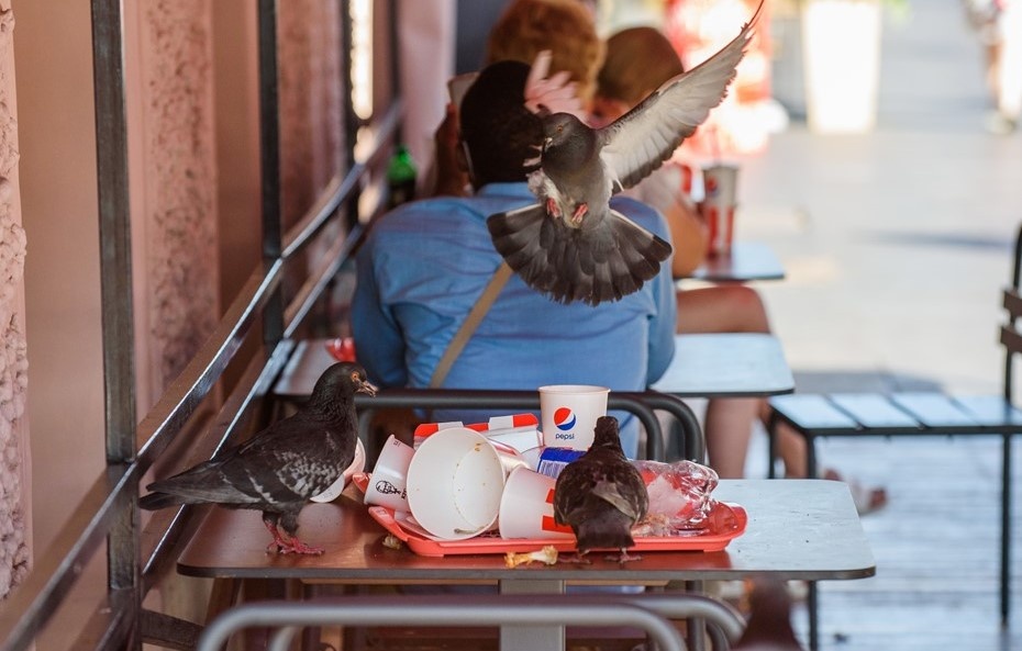    Автор фото: Сергей Ермохин / "ДП"