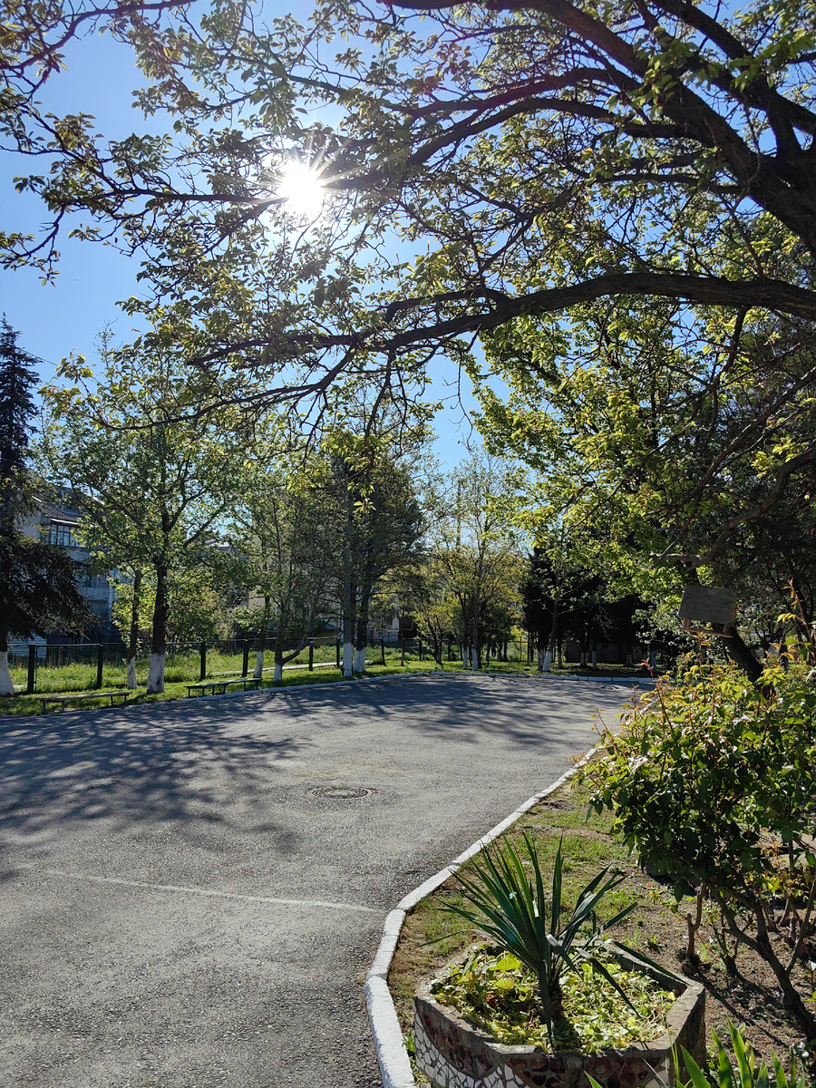 Сегодня. Фото автора канала