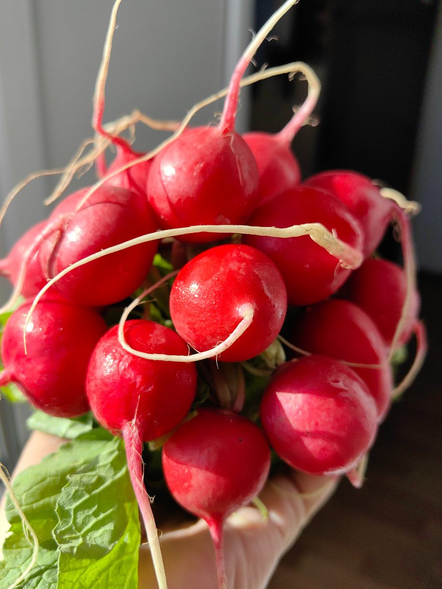 Сегодня. Фото автора канала