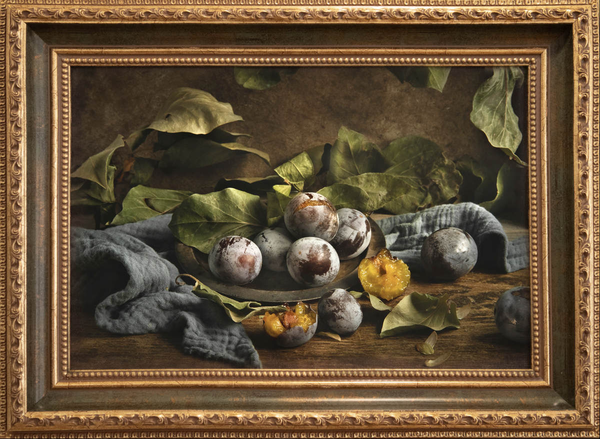 «Слива», серия «Фрукты», холст, дерево, 23*35, фотография, 2024 г.