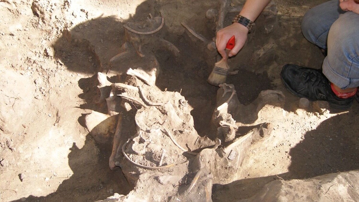     Источник: Новосибирский государственный краеведческий музей