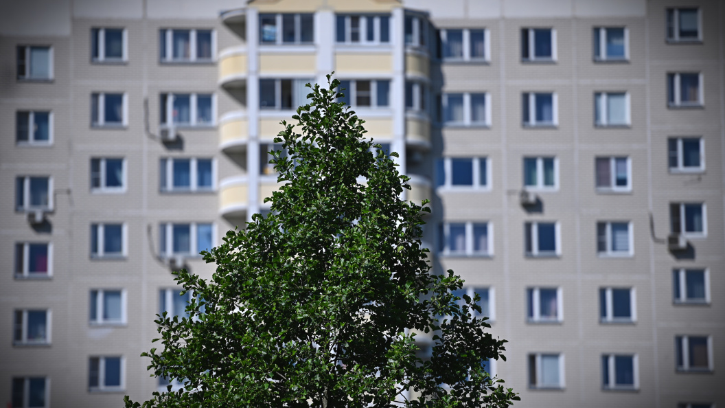    Фото: Олег Рукавицын/Царьград