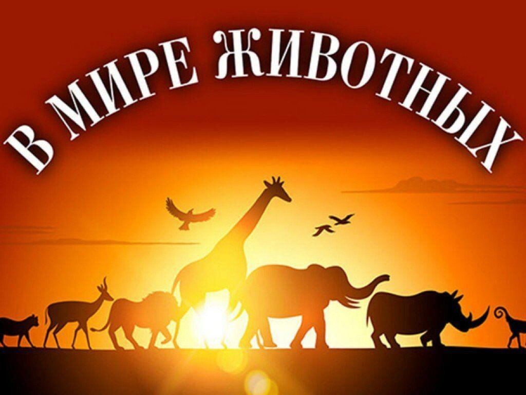 Яндекс картинки.