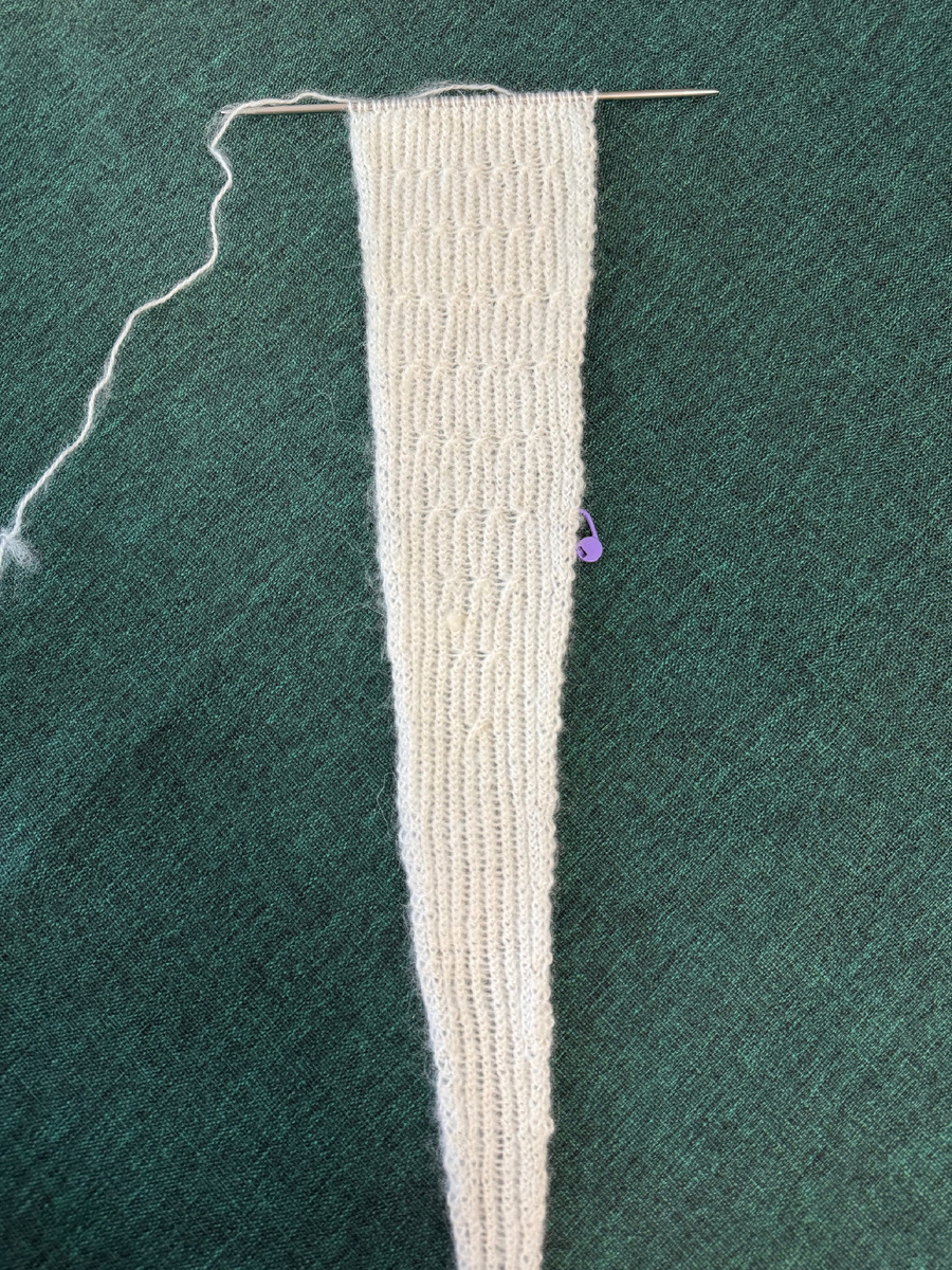 Фото из 17 отчета.