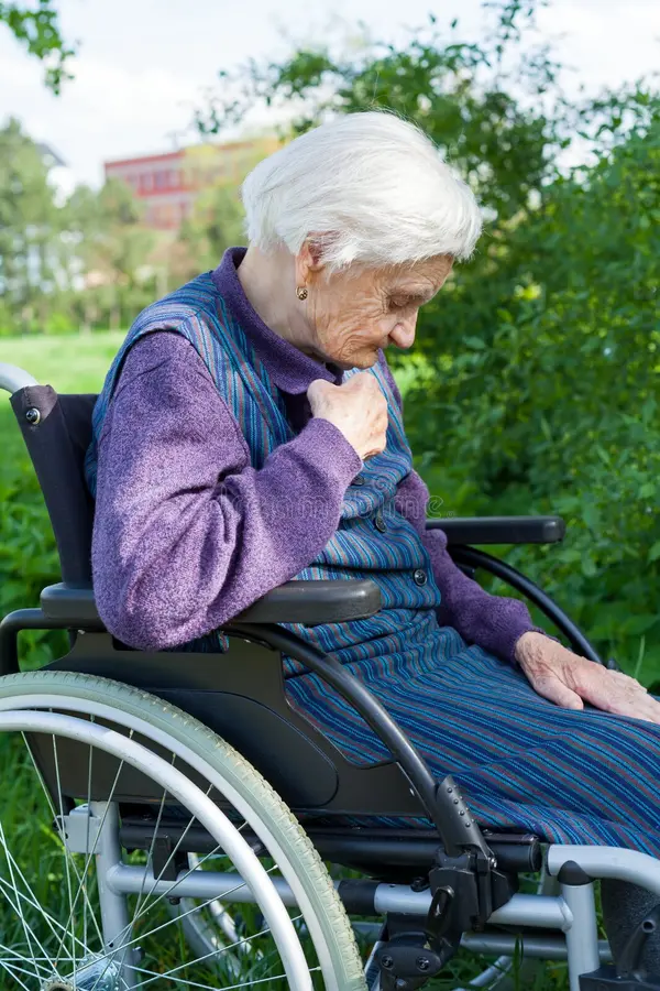 Фото Яндекс картинки.