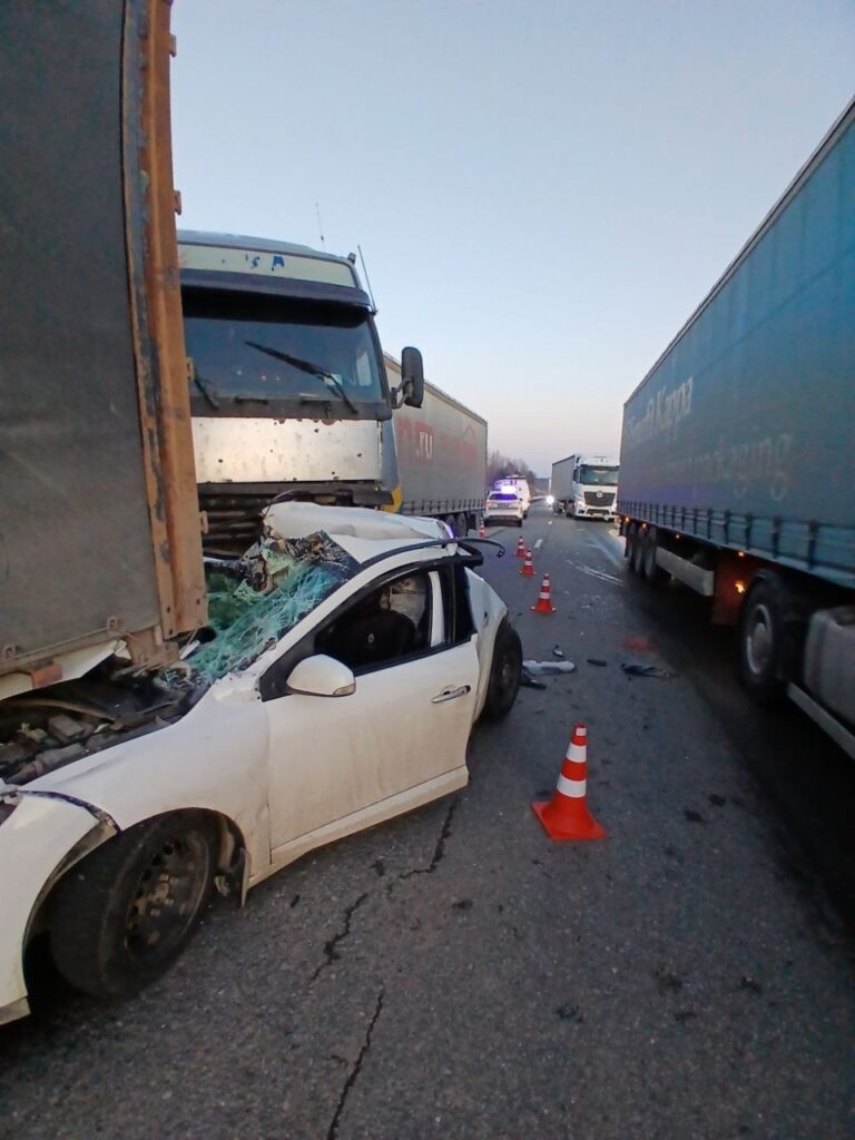    Фото: Поисково - спасательная служба КМО(16+). / VK Полина Анкушина