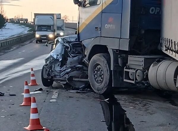    Фото: Поисково — спасательная служба КМО(16+). / VK Полина Анкушина