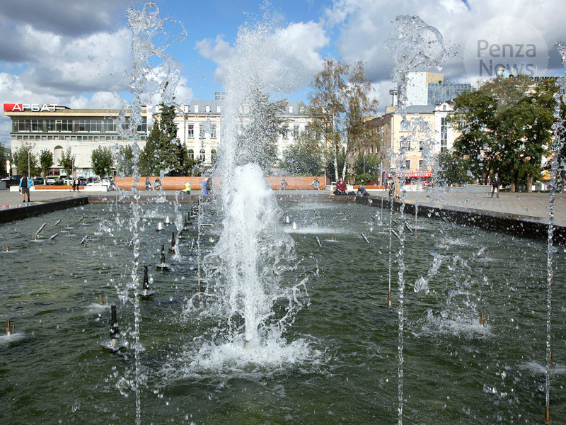    © Фото из архива ИА «PenzaNews»