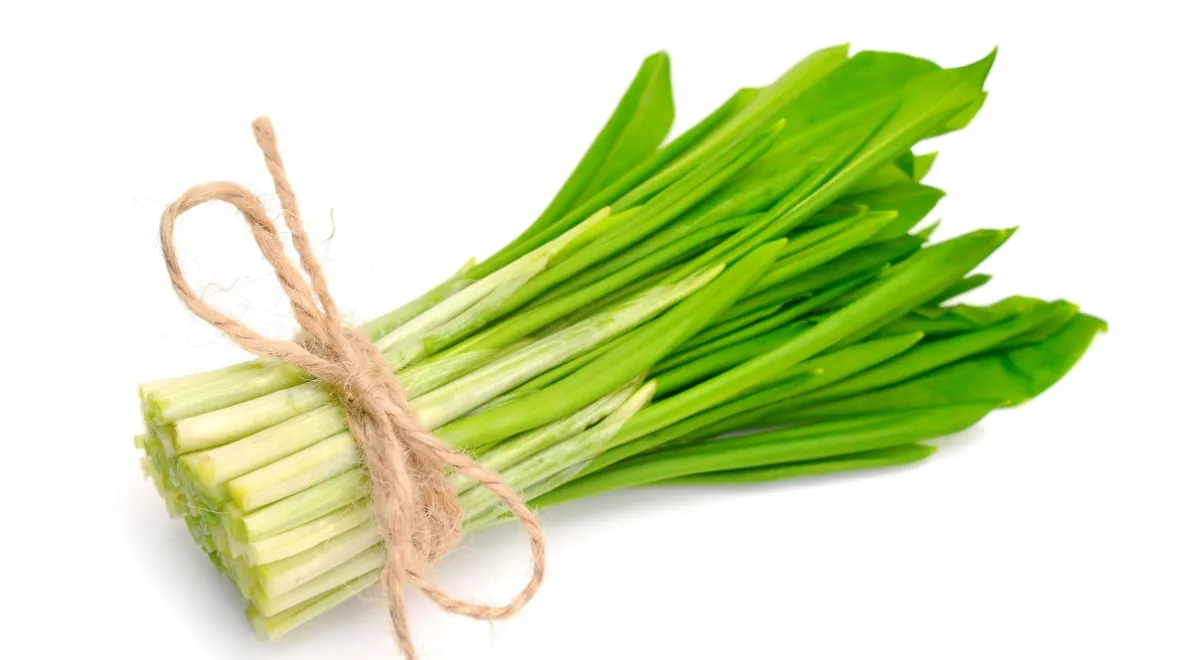 Фото: Shutterstock/ FOTODOM