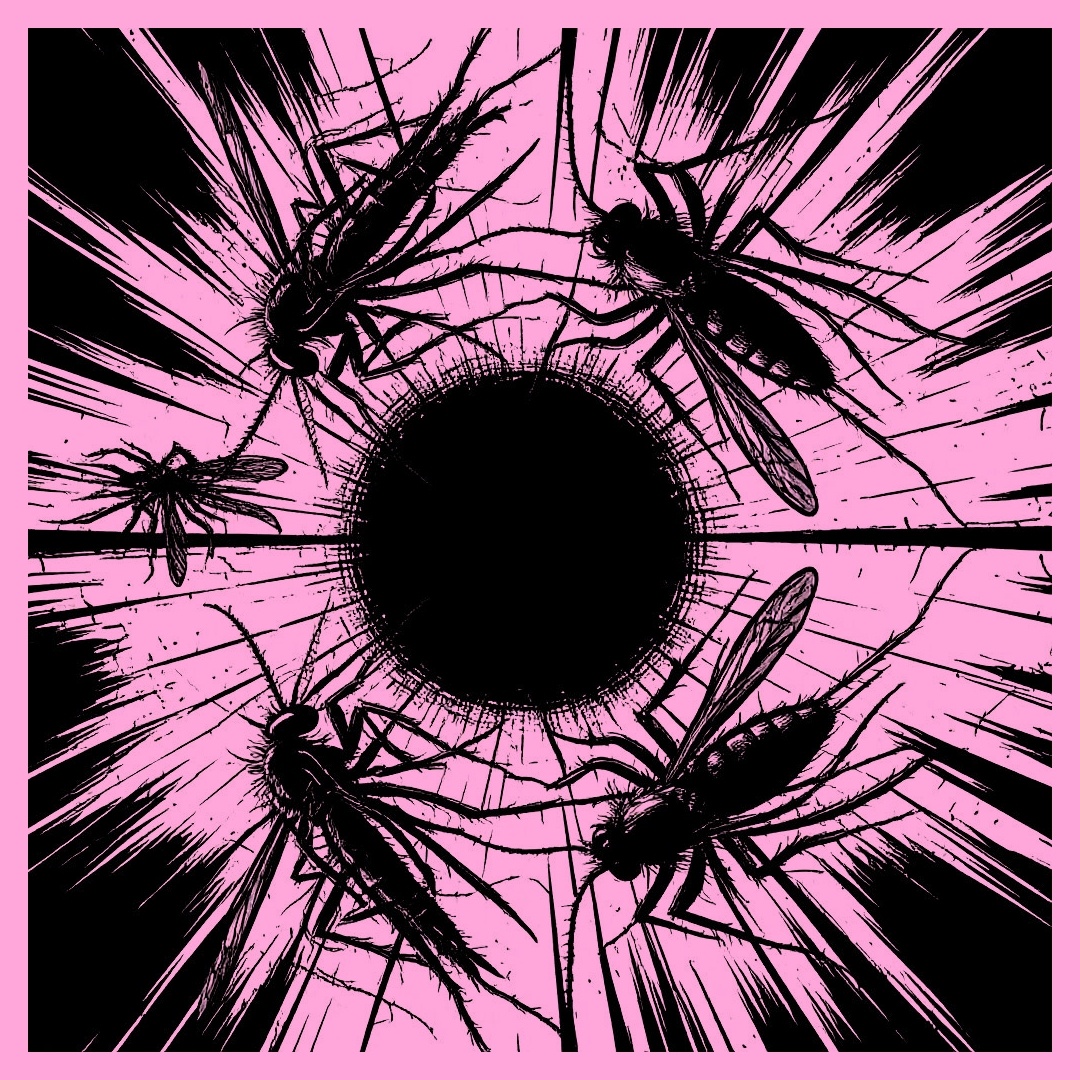 Они размножаются в туннелях. Это хуже, чем раньше.