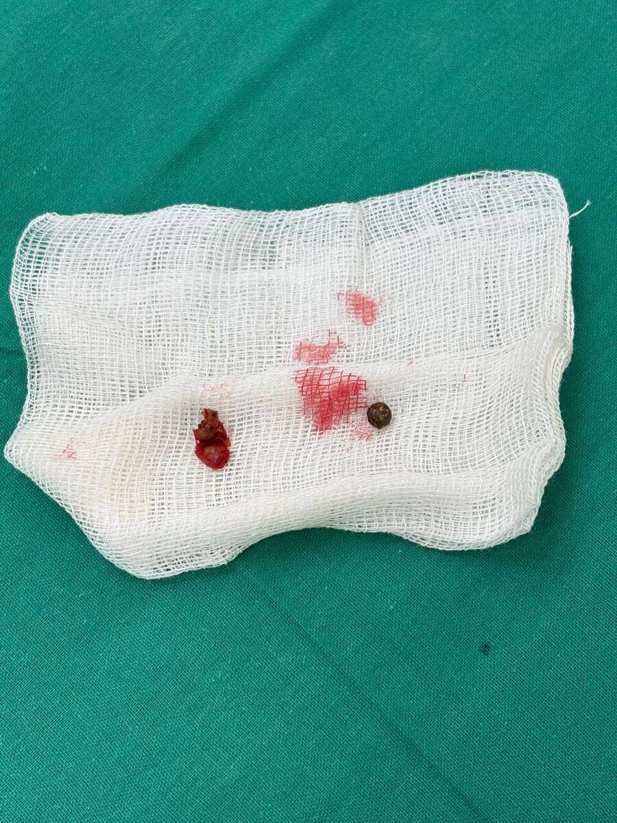 Фото: пресс-служба РКБ