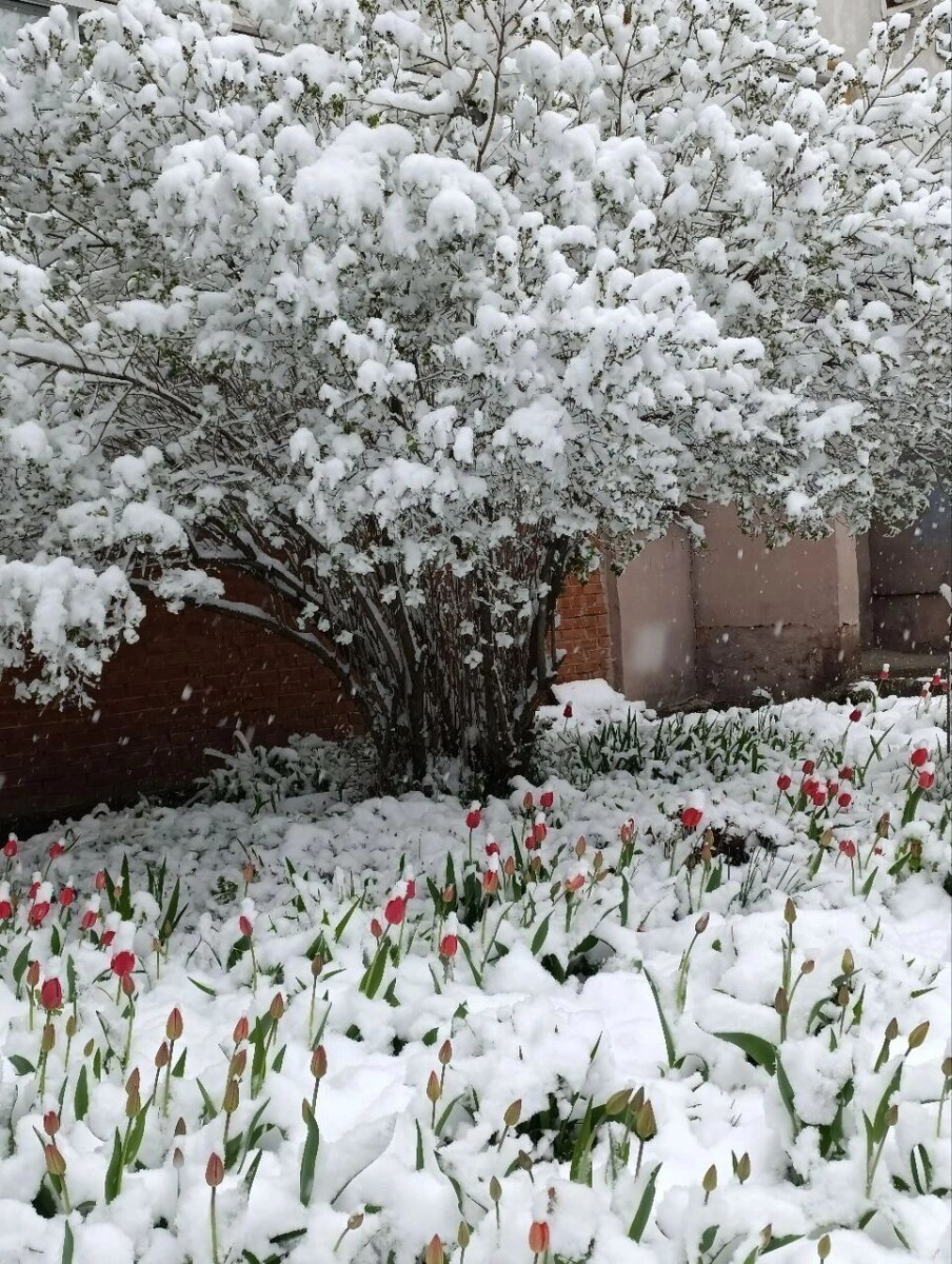     Источник: udm-info.ru