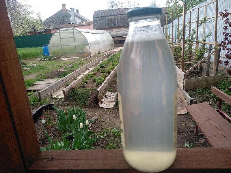 Чесночное средство 