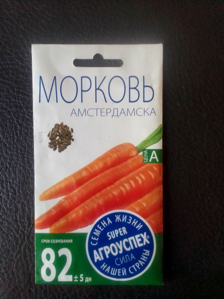 Фото автора. Морковь Амстердамска