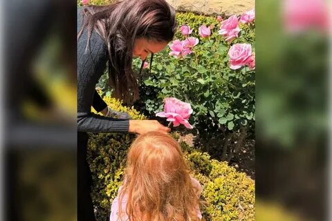 фот из яндекса