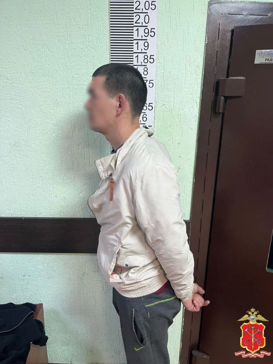    Фото: ГУ МВД по Петербургу и Ленобласти