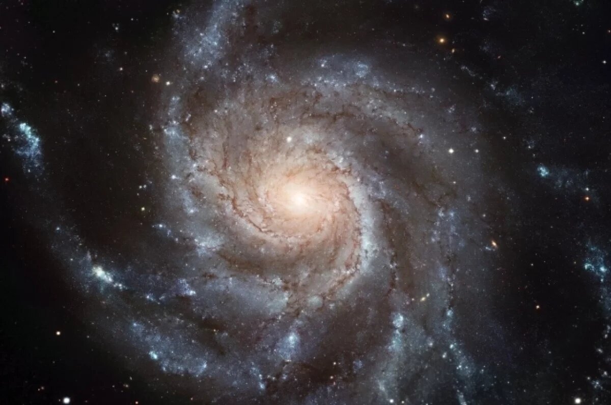    Вызывайте МЧС: Воронежцам сообщили о возможном падении космической станции