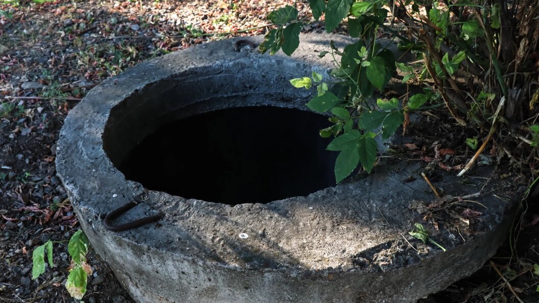    Фото: Elena Mayorova/Globallookpress.