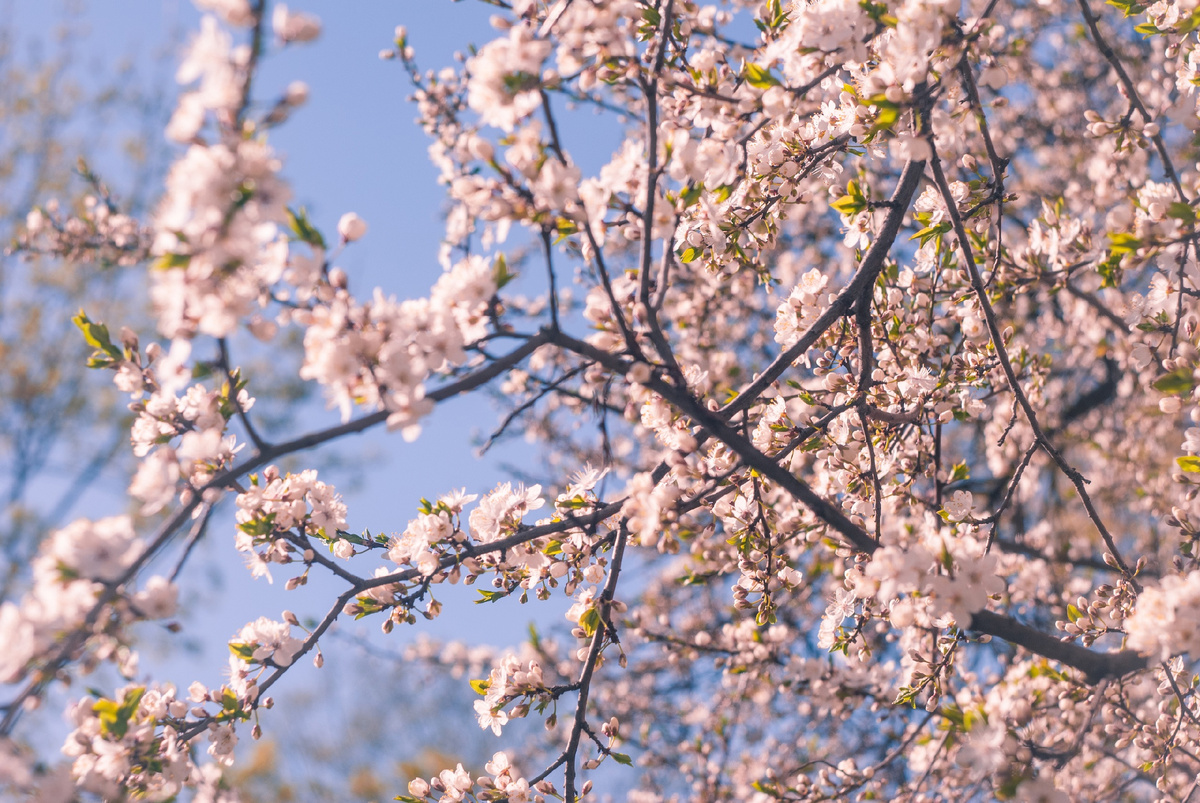 Фото: Ирина Назарова