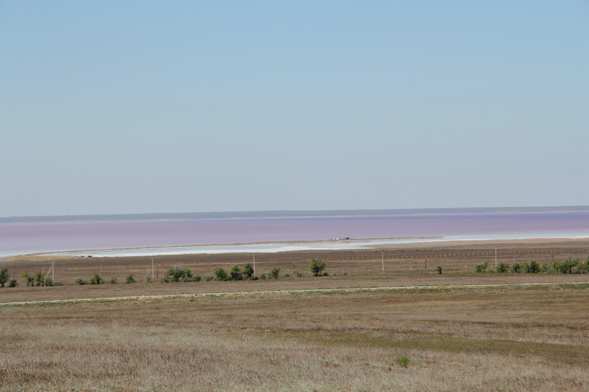 Розовое озеро Эльтон