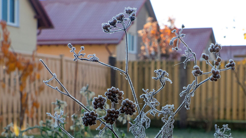 Фото: Майя Жинкина / Коммерсантъ