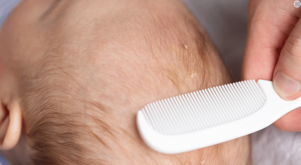 Image: les images | Shutterstock