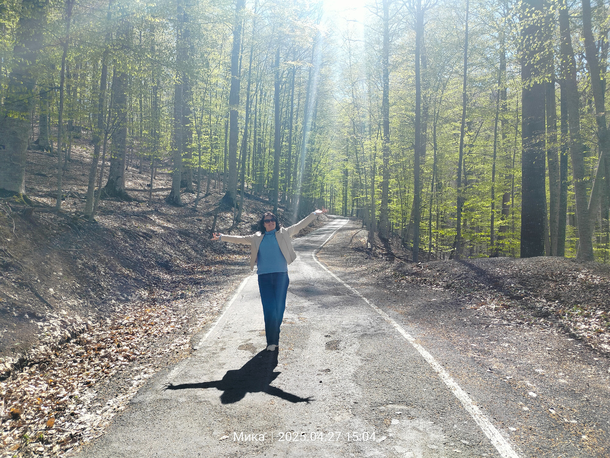 Романовская дорога