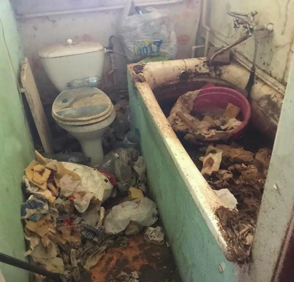 Предоставлено Натальей Моисеенко