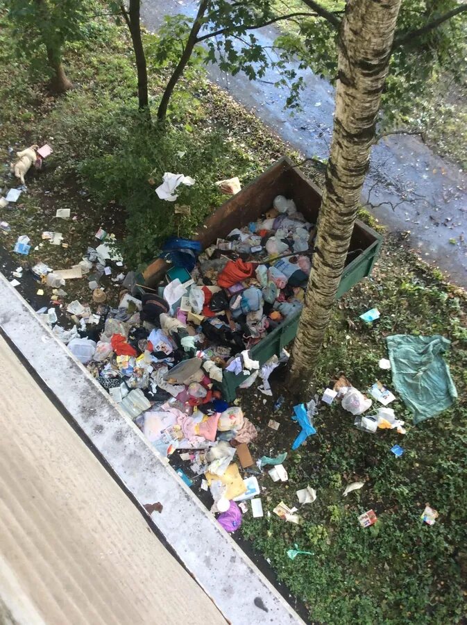  Фото предоставлено Марией Шибаевской