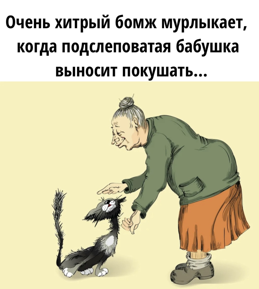Моя картинка