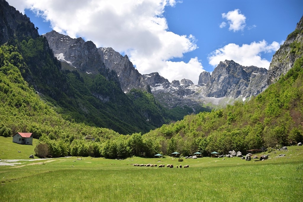 Долина Грибайе