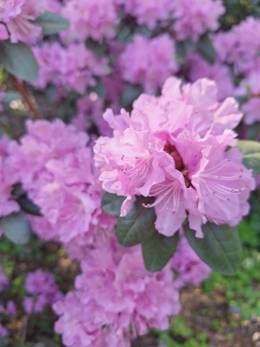 Фото - собственность автора канала.