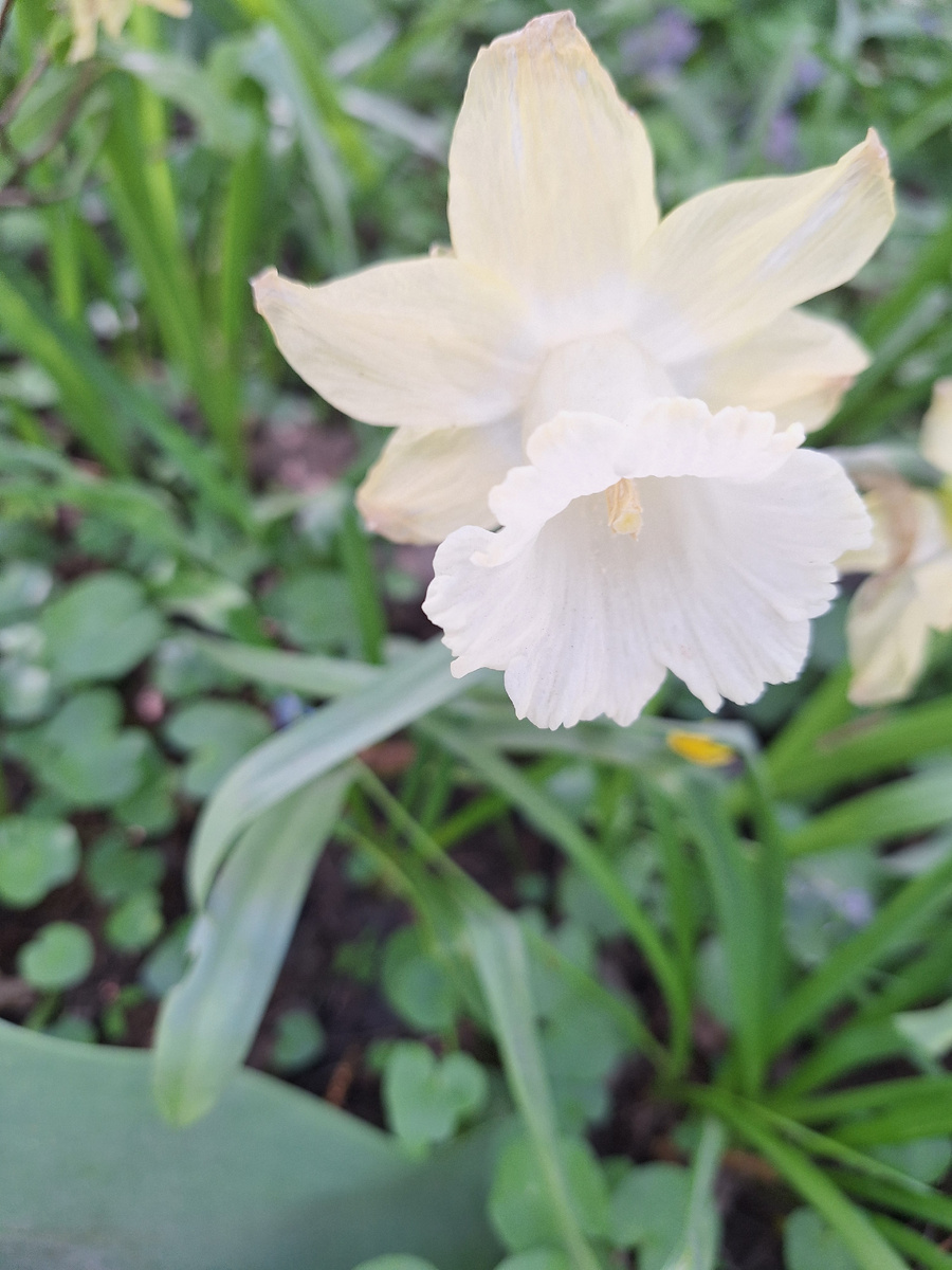 Фото - собственность автора канала.