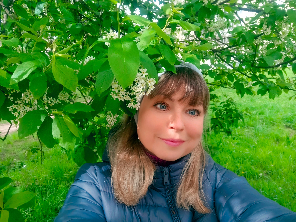  Все фото в статье автора 