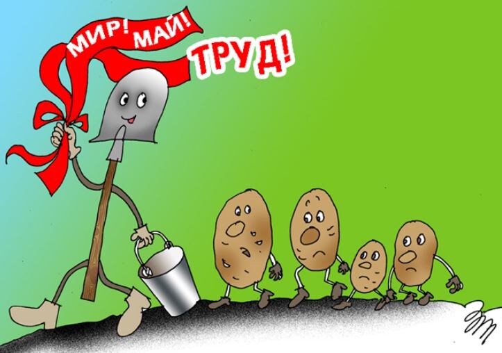 художник Татьяна Зеленченко